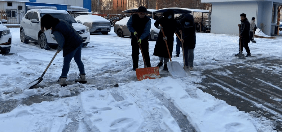 “初心如雪，不惧寒霜”——义务扫雪行动