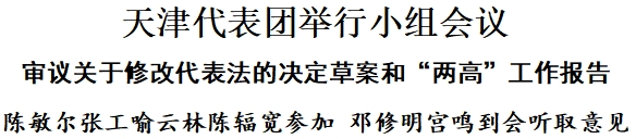 天津代表团举行小组会议，审议关于修改代表法的决定草案和“两高”工作报告